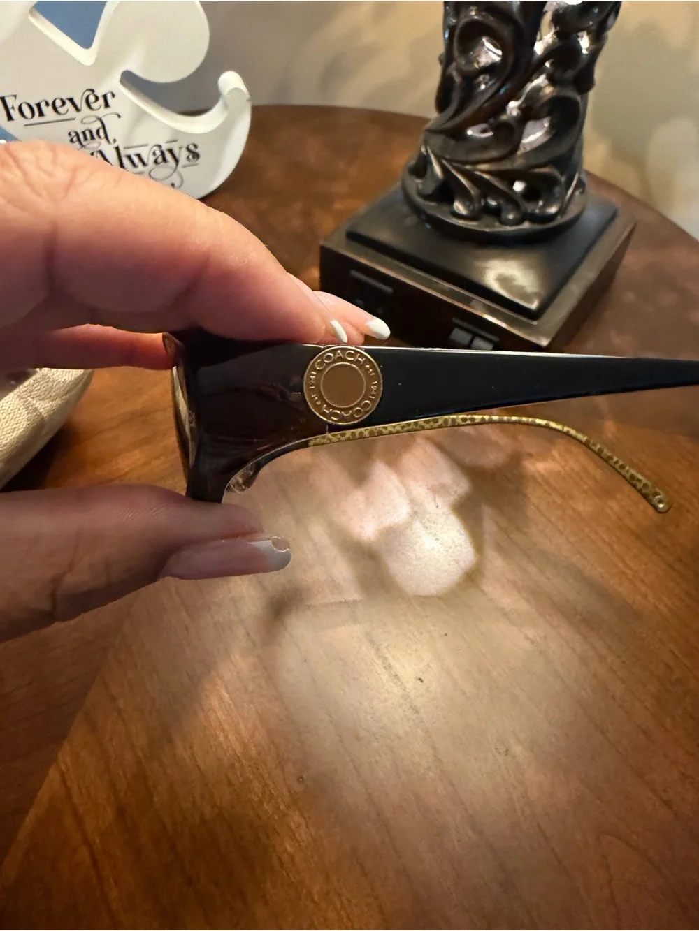 Coach Sunglasses Case in Brown Velvet with Gold Logo